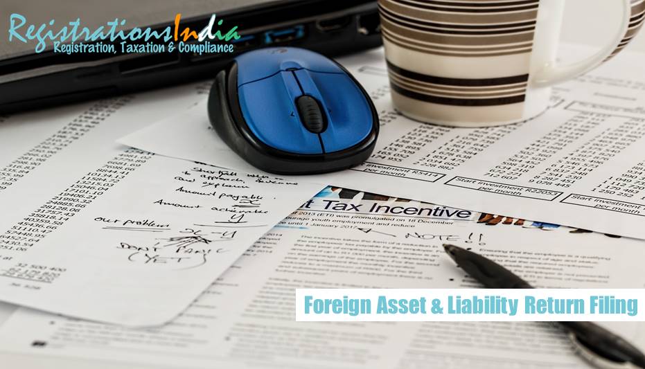 Foreign Asset and Liability return filing image
