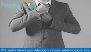 What are the different types of directors in a Private Limited Company in India image