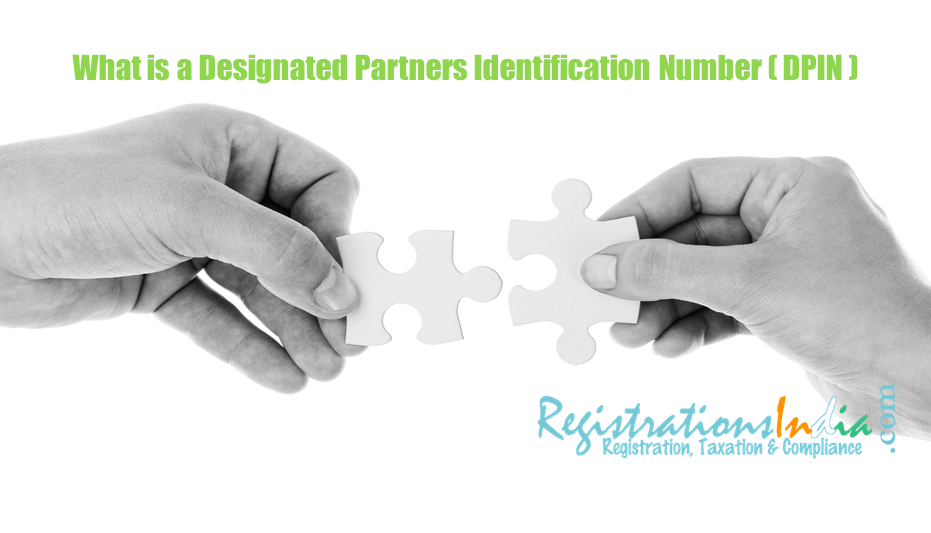 What is Designated Partner Identification Number (DPIN) image