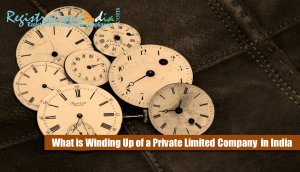 Winding Up of a Private Limited Company in India image