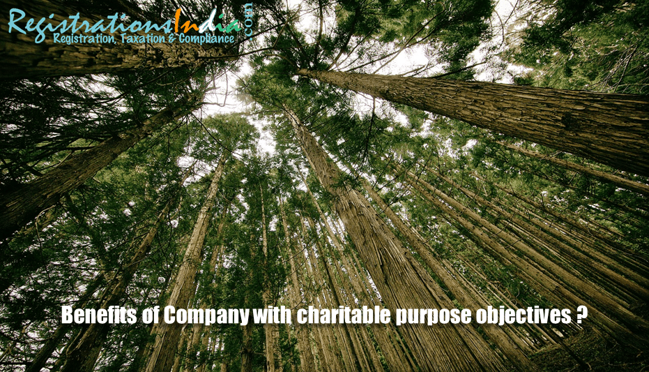 Benefits of Company with Charitable Purpose Objectives image
