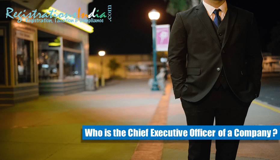 Chief Executive Officer of a Company image