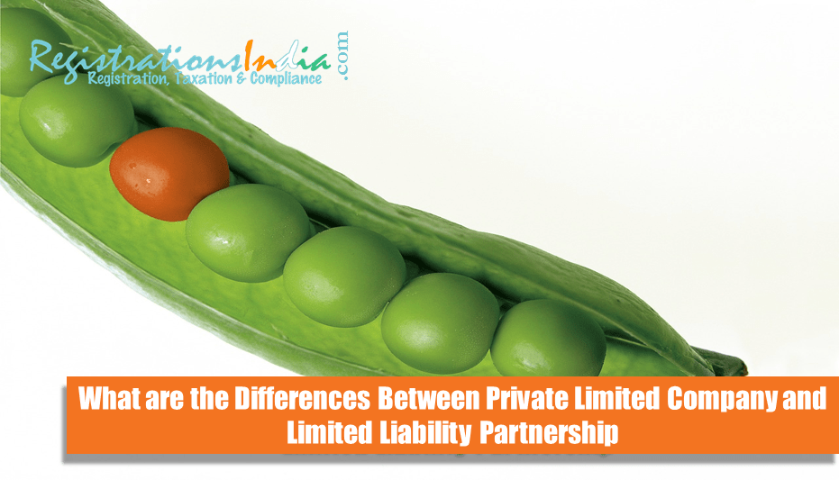 Differences Private Limited Company and Limited Liability Partnership image