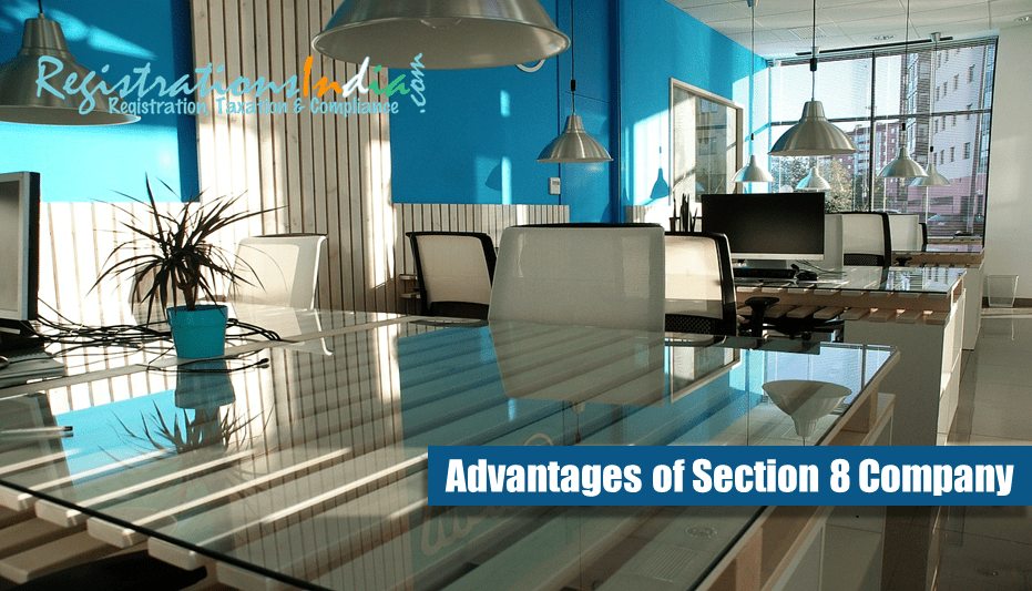 What are the Advantages of Section 8 Company?