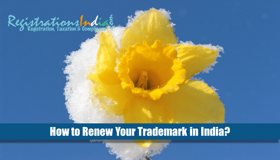How to renew your trademark in India?