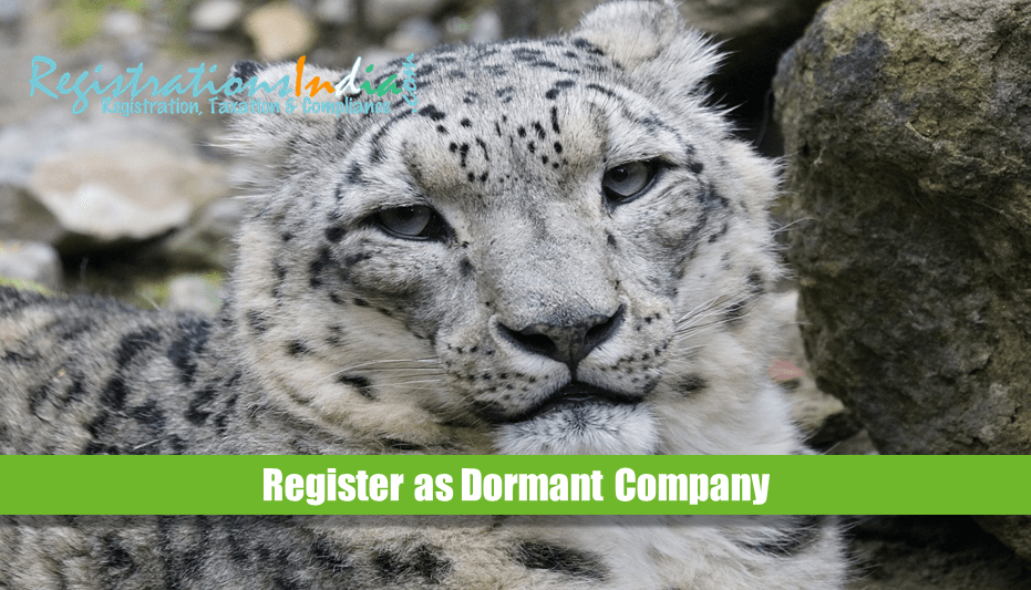 Register as Dormant Company