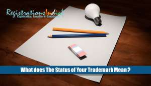 What does the status of your trademark mean?
